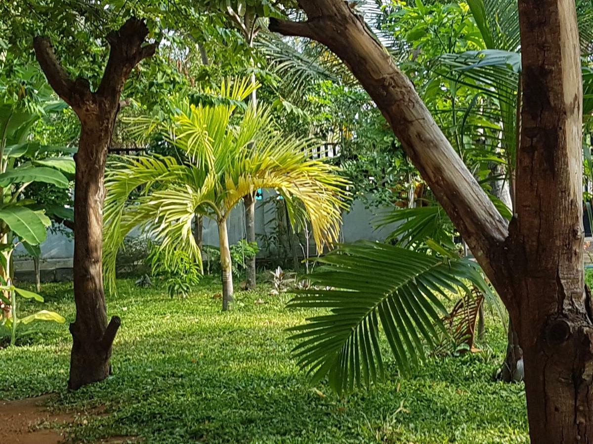 Luna Beach Hotel Nilaveli Exterior photo